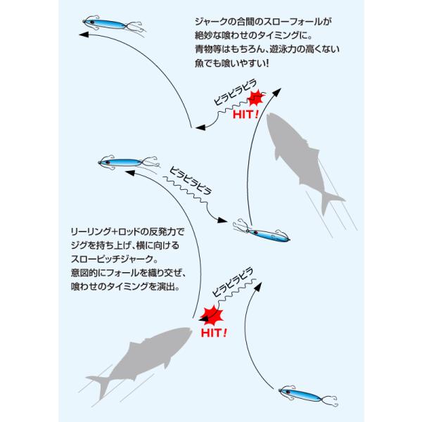 カプリスエッジ　100g